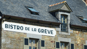Désinsectisation dératisation Brive-la-Gaillarde